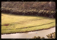 sl65  Original slide  1980's Hawaii Wailua River  skyline view 837a