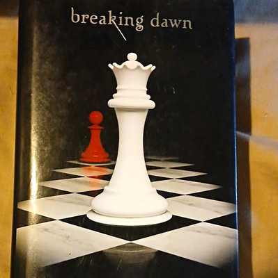 Breaking Dawn (The Twilight Saga) by Stephenie Meyer 2008 HC Dust Jacket