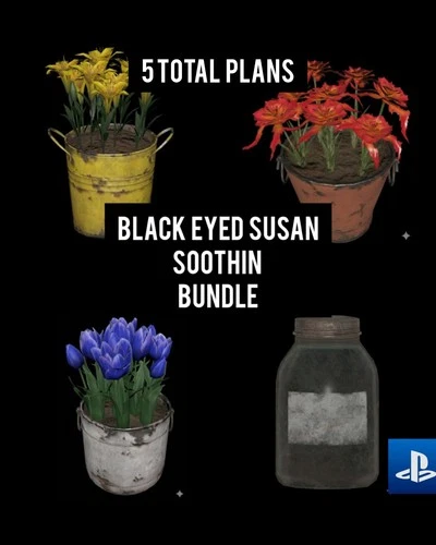 5 PLANS BLACK EYED SUSAN SOOTHIN BUNDLE PS4 PS5 FALLOUT 76
