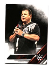 2016 Topps WWE Jerry 