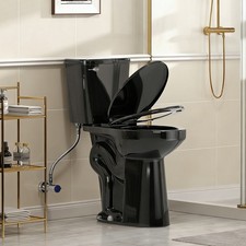 21'' Black Two Piece Elongated Toilet Single Flush 1.28 GPF with Soft Close Seat