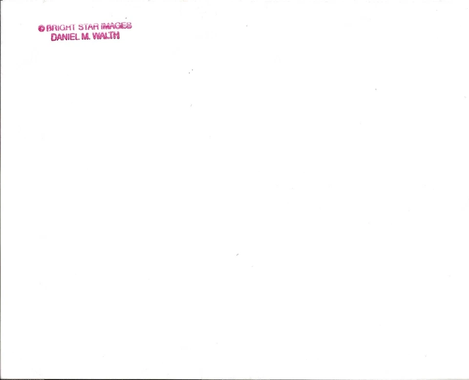 Vintage 1993 Pete Rose Signed Framed Lithograph - PSA Authenticated - Image 3 of 4