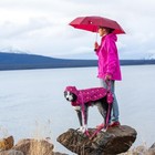RC Pets Packable Dog Rain Poncho - Paper Airplane Print Size Large (30-50 lbs) — photo 7