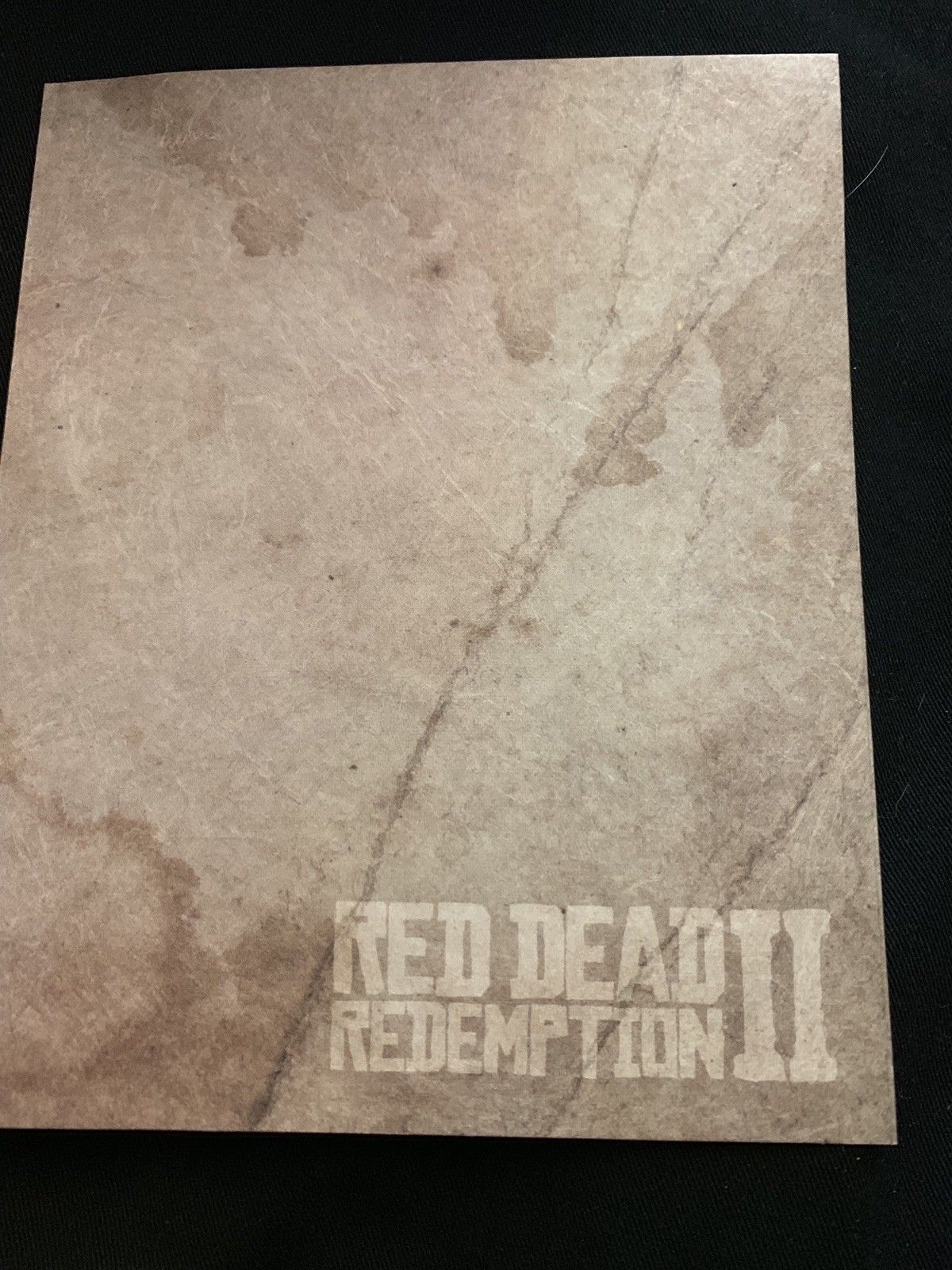 Red Dead Redemption 2 Collector's Edition Treasure Map