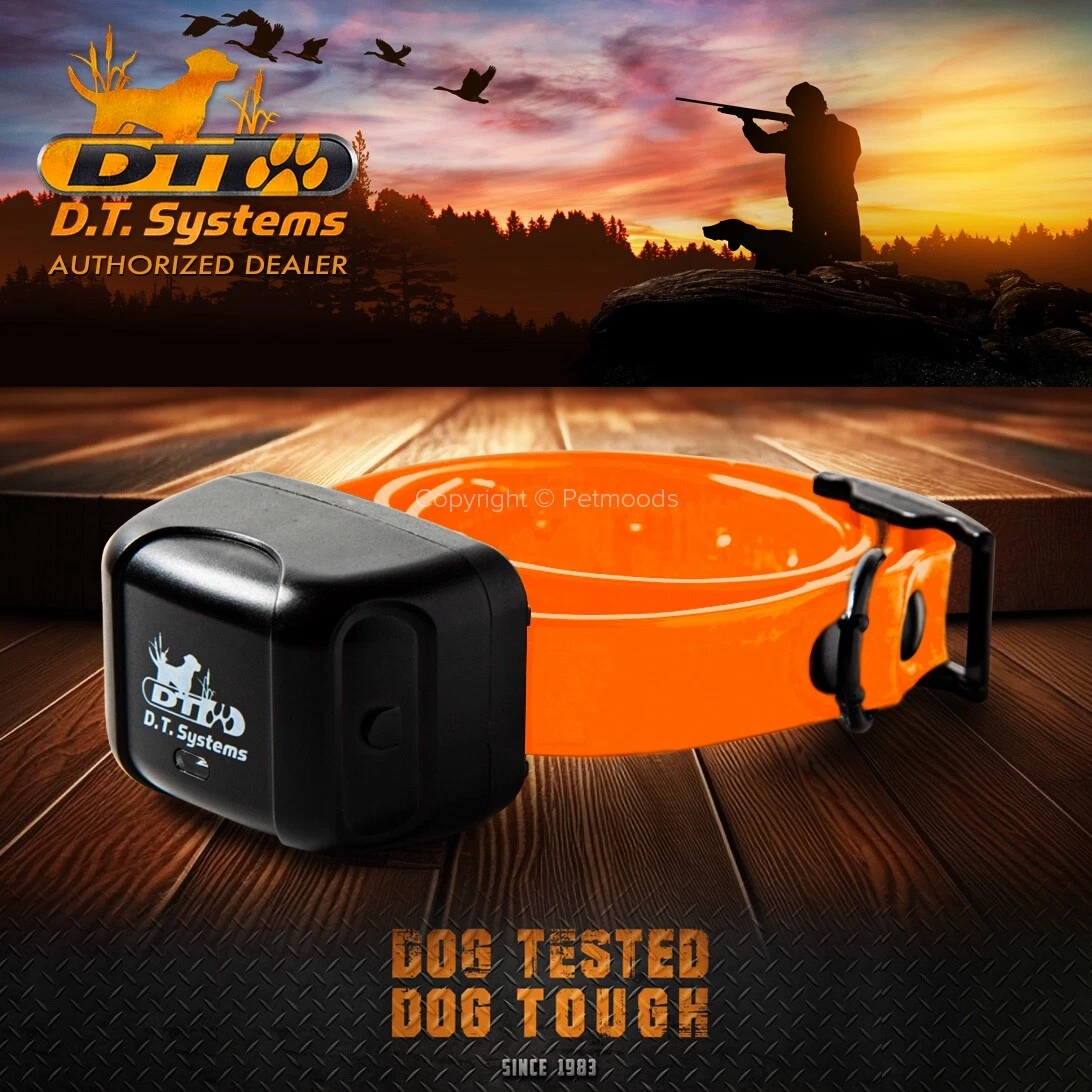 DT Systems MR 1100 Add On Collar Dog Receiver Orange Strap MAXX