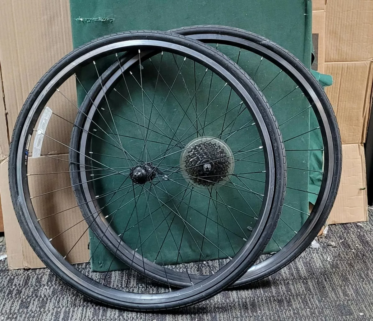 Alloy double wall new arrivals