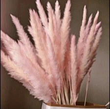 15PCS Natural Dried Pampas Grass 24 In. Reed Flower Wedding Bouquet Home Decors