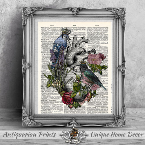 Corazón anatómico y pájaros en diccionario antiguo página imagen idea de regalo - Imagen 2 de 3