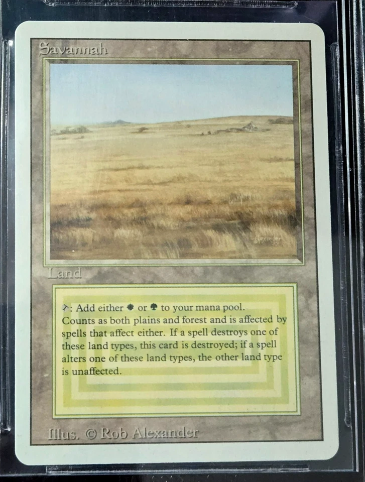 Savannah BGS 9.5 GEM MINT - Quad 9.5 +10 sub - Revised 3rd Edition MTG - Low pop - Image 2 of 4