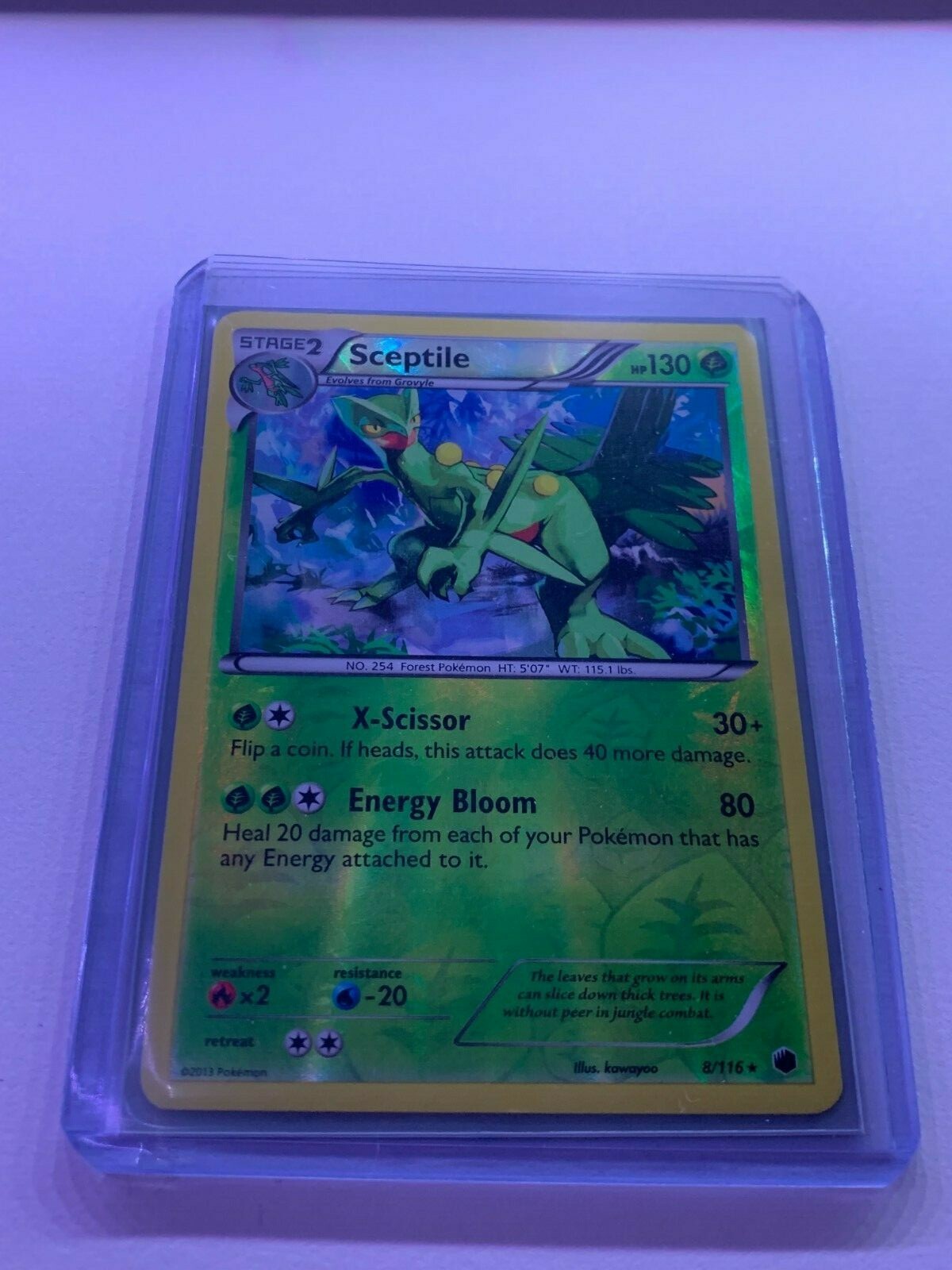 Sceptile - 8/116 - Black & White Plasma Freeze - Reverse Holo - Rare - NM