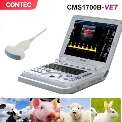 pet Veterinary Ultrasound Portable Color Doppler Vet Machine,Dog,Convex Porbe
