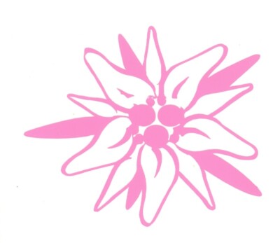 Edelweiss Flower Of Germany Swiss Alps Heritage Vinyl Decal In Outdoor Permanent Ebay