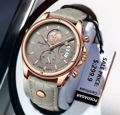 Poedagar Men's Automatic Analog Watch World Map Gray Dial Date 41mm 3ATM