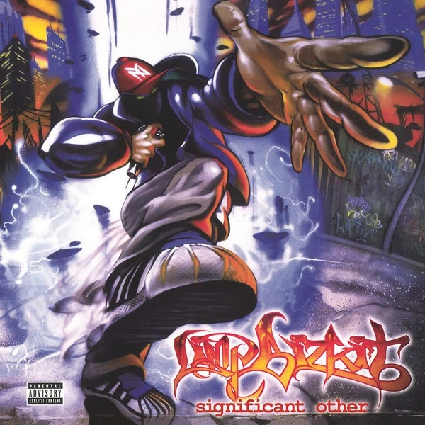 Las mejores ofertas en Limp Bizkit discos de vinilo LP de
