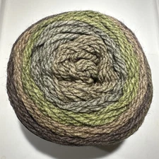 1 CARON TEA CAKES in UNDERBRUSH 8.5oz 204yds Acrylic Wool Lush Living Collection