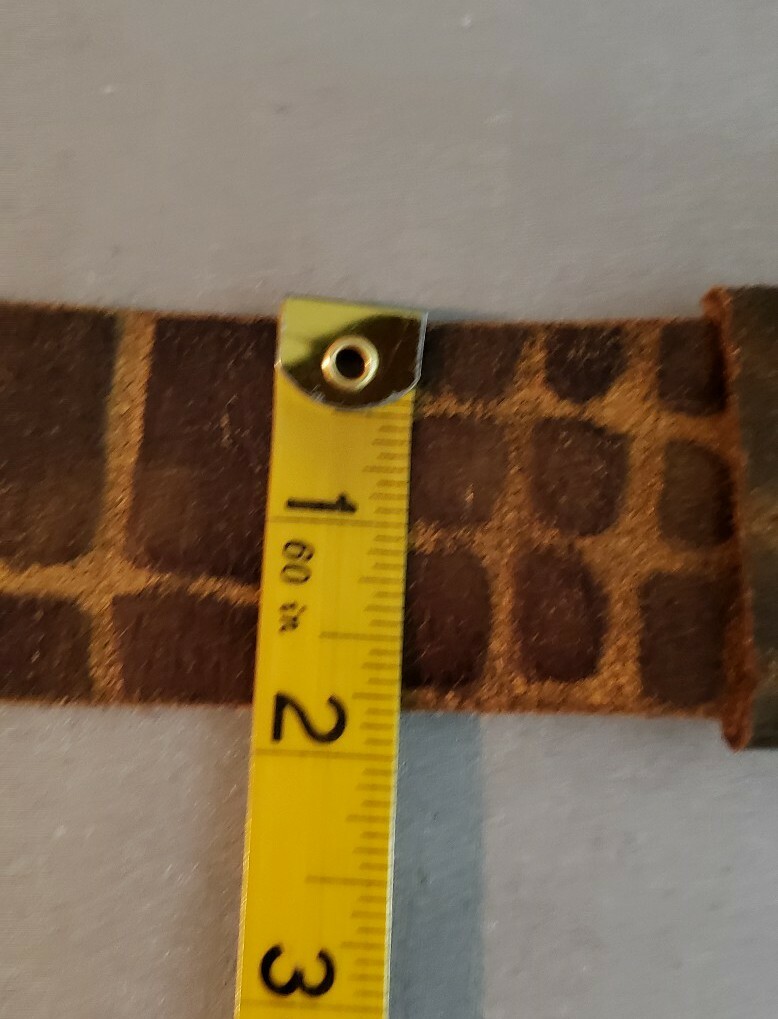 Picture 11 of 12