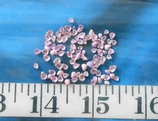 ~ Lilac Shells ~ 100+ ~ *TINY* ~ Dyed Mauve ~ Shellcraft ~ Sailor's Valentines ~