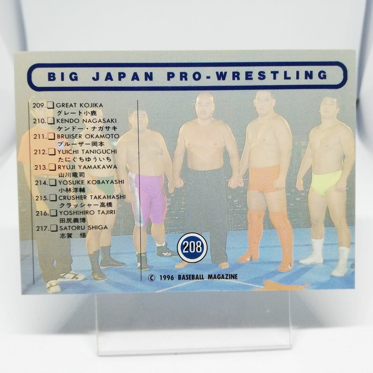 208 LIST CARD BIG JAPAN PRO WREITLING CARD BBM96 1996 JAPAN TCG | eBay