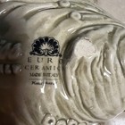 Edelweiss Shell — photo 6