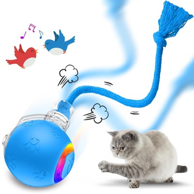 Cat Toys for Indoor Cats, Interactive Cat Toy, USB Rechargeable, Fast Rolling...