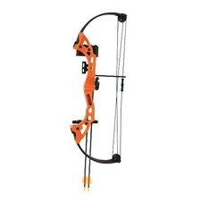 Bear Archery Brave Youth Compound Bow for Ages 8+