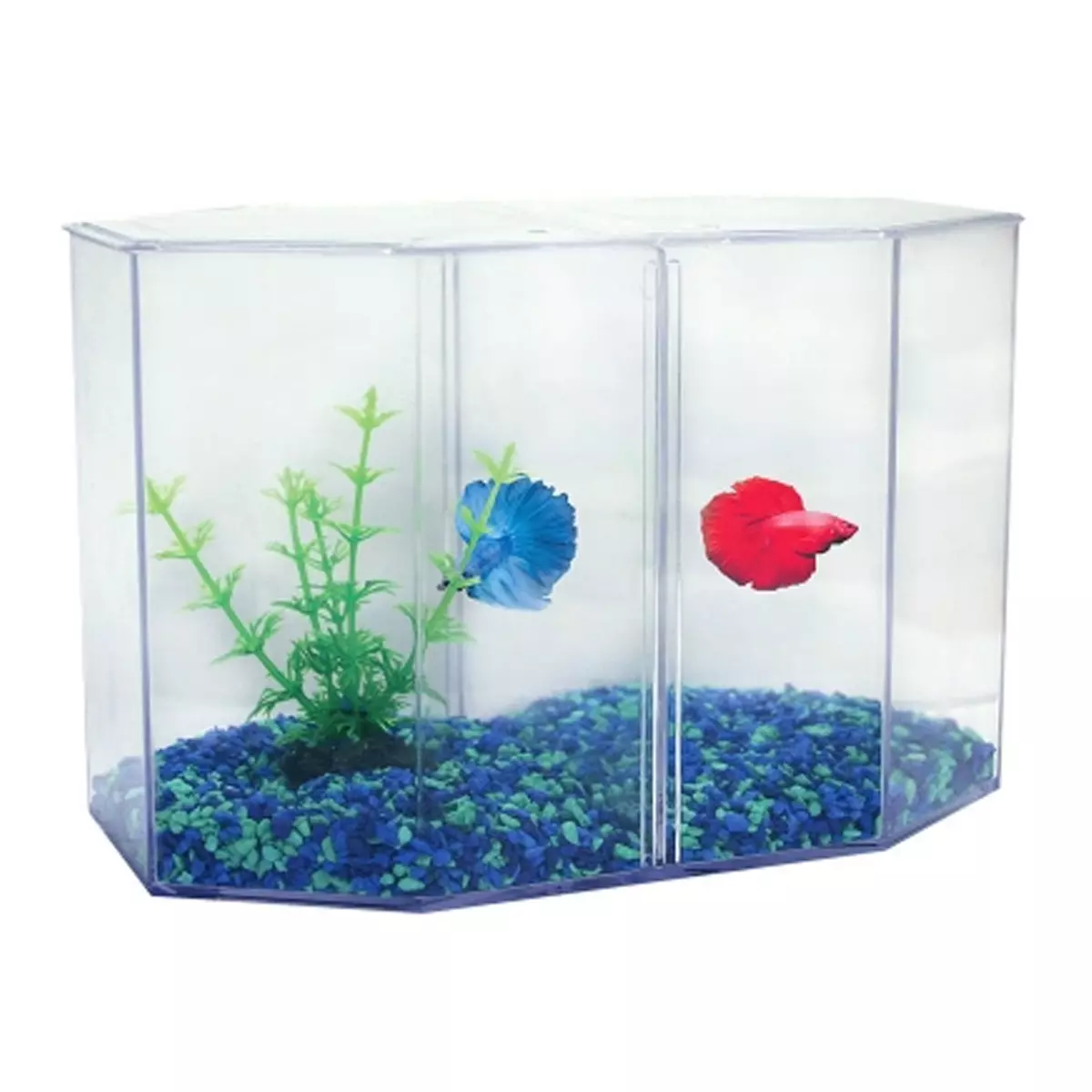 Aqua one betta duo hot sale