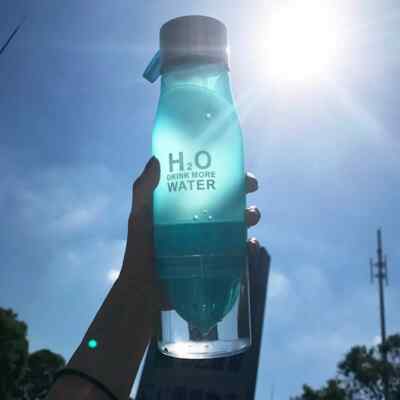 Wasser Saft Trinkflasche 650ml H2O Früchtetee Flasche BLAU