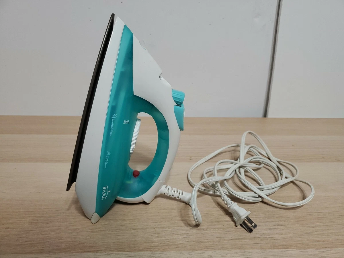 Ebay sale steam iron