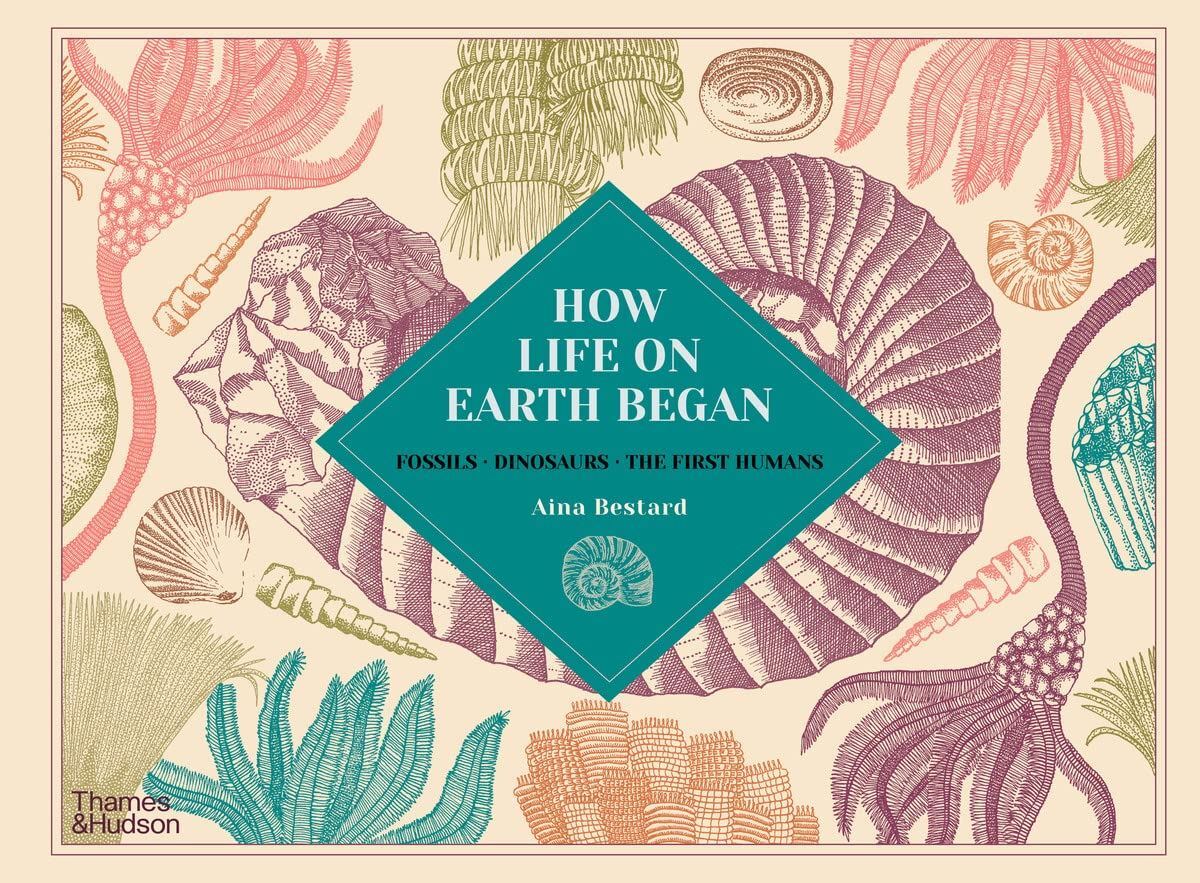 Aina Bestard How Life on Earth Began (Hardback) - Image 9