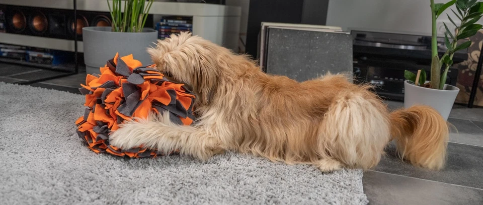 TrendPet Schnüffelball Orange - Bild 3 von 4