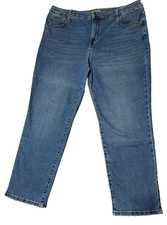 Terra  Sky 16W Petite Straight Leg Stretch Jeans Med Wash Blue Comfort