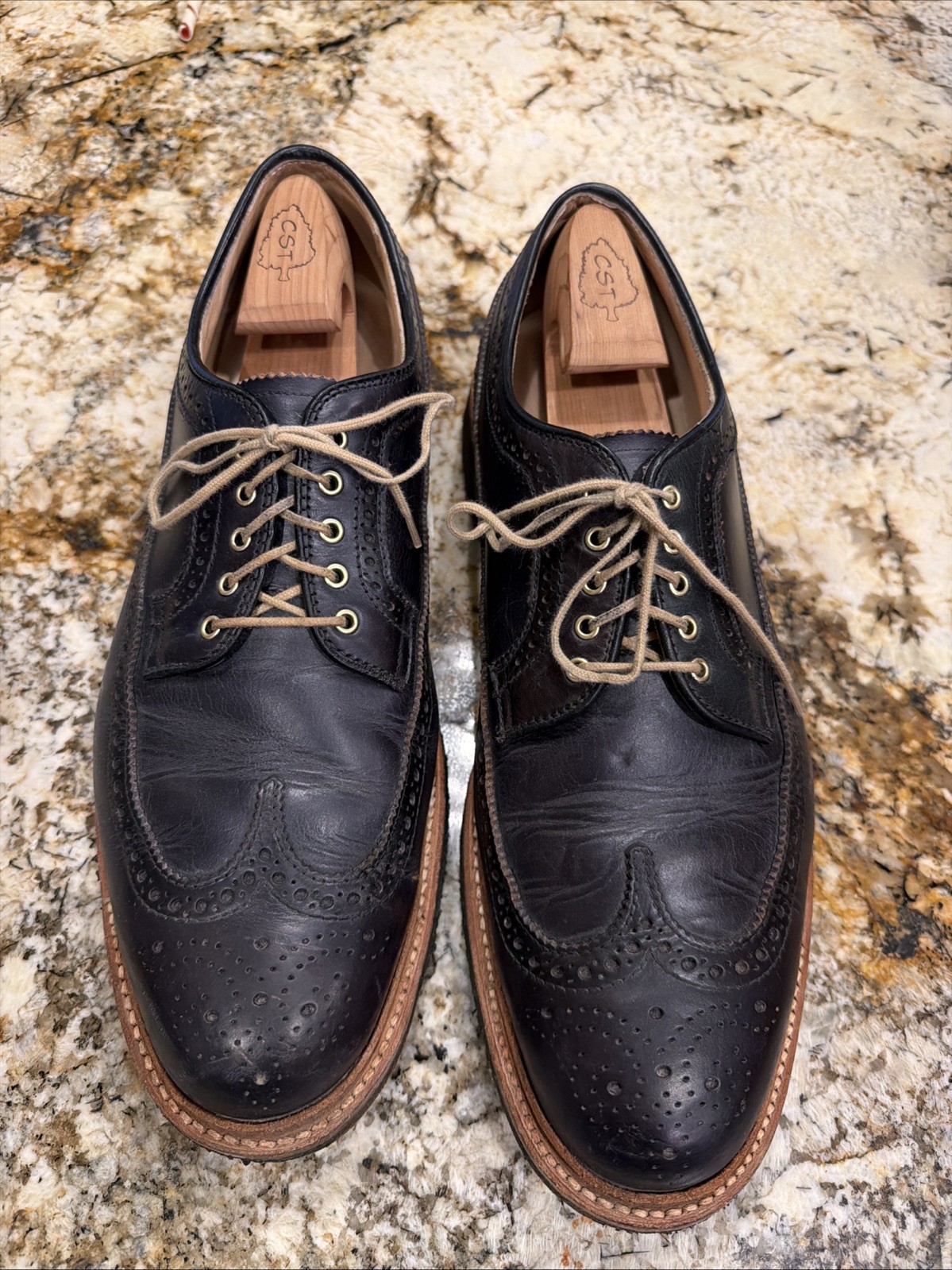 Alden D3604 Navy Chromexcel Long Wing Blucher