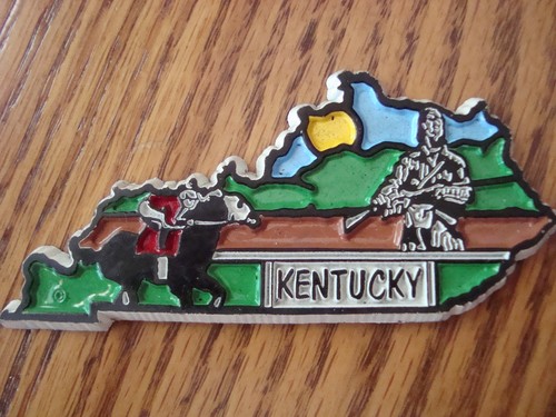 40 United States of America Individual State Magnets CHECK IF WE HAVE YOUR STATE - Picture 25 of 52
