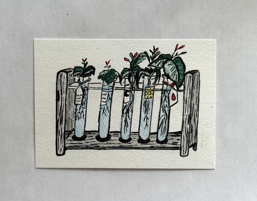 ACEO ART CARD "Test Tube Experiment" Original work by Jude DD