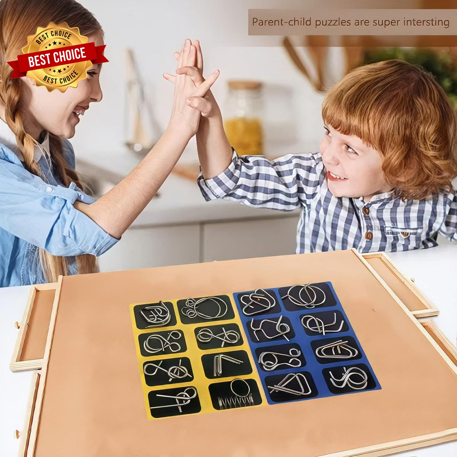 Metal Brain Teaser Puzzles, Set of 32 with Pouch, Steel IQ Games Physics Mind Me