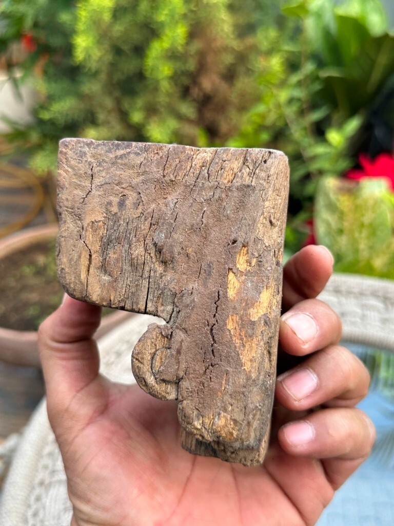 Picture 5 of 5