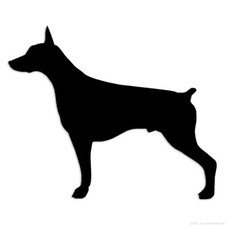 Doberman - Decal Sticker - Multiple Colors  Sizes - ebn6011