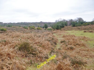 Photo 6x4 Ringwood Ford Bottom Newtown/SU2710 A shallow valley with broo c2014