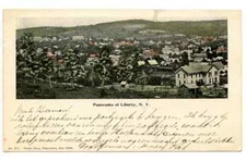 Birds Eye Panorama Liberty City, New York. Early UDB, pm 1902, Hand Tinted. 