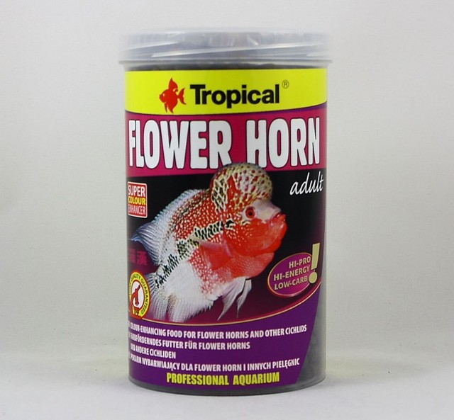 tropical flower horn