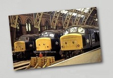 Fridge Magnet British Rail Class 45 45104 Peak Diesel Locomotive
