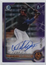 2022 Bowman Chrome Prospect Purple Refractor /250 Willy Fanas #CPA-WF Auto 3hd