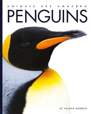 Penguins (Animals are Amazing)