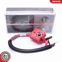 Esen SKV Batterieadapter 96SKV304 FüR BMW X5 E70 X6 E71 E72 Xdrive Activehybrid