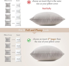   18 X 18 Decorative Feather down Throw Pillow Inserts Set of 2, White for ...