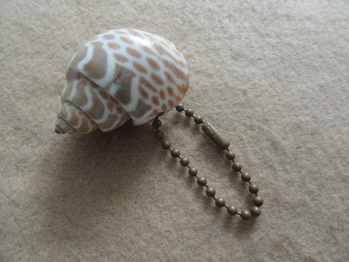 A Seashell Keychain - 第 1/2 張圖片