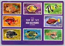 Red Sea Fishes Stamps Vintage Art Postcard 1972