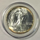 1987 American Silver Eagle, Uncirculated in Plastic Capsule, Free Shipping!