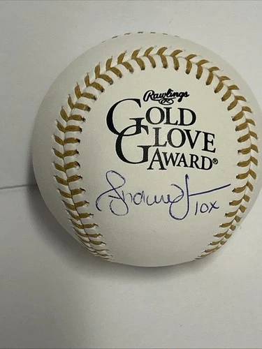 Andruw Jones Autographed Rawlings Gold Glove Baseball 10X HOF 2026 JSA Braves