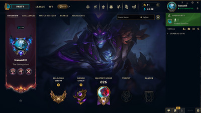 League of Legends Account EUW FULL GOLD, 153+ Skins, Level 370+, All Champions